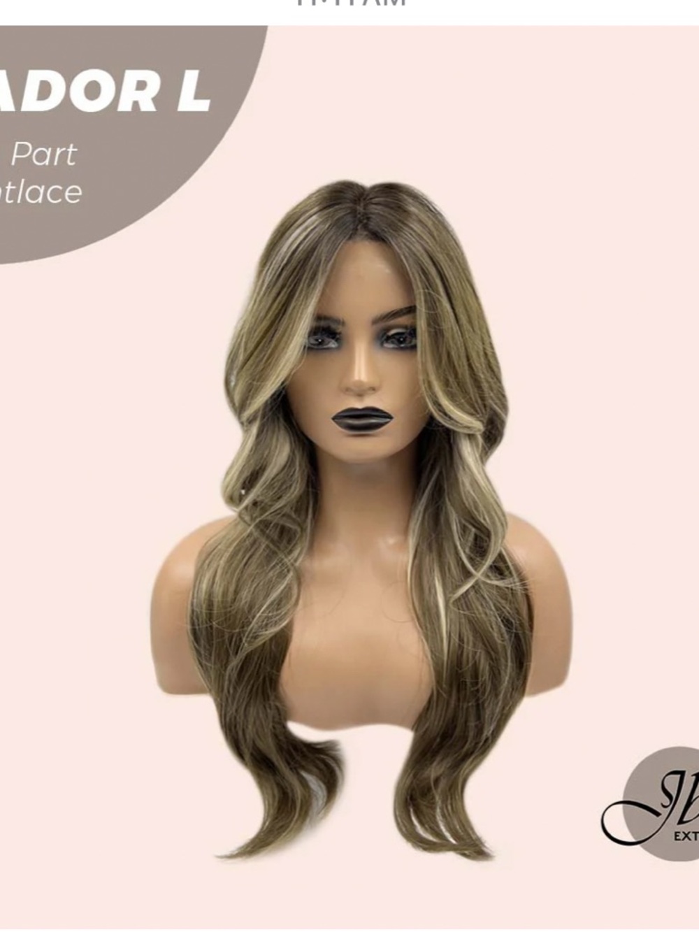 Long Layered Lace Front Wig in Ash Brown Blonde Blend